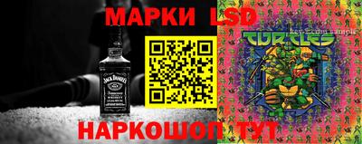 дмт Кандалакша
