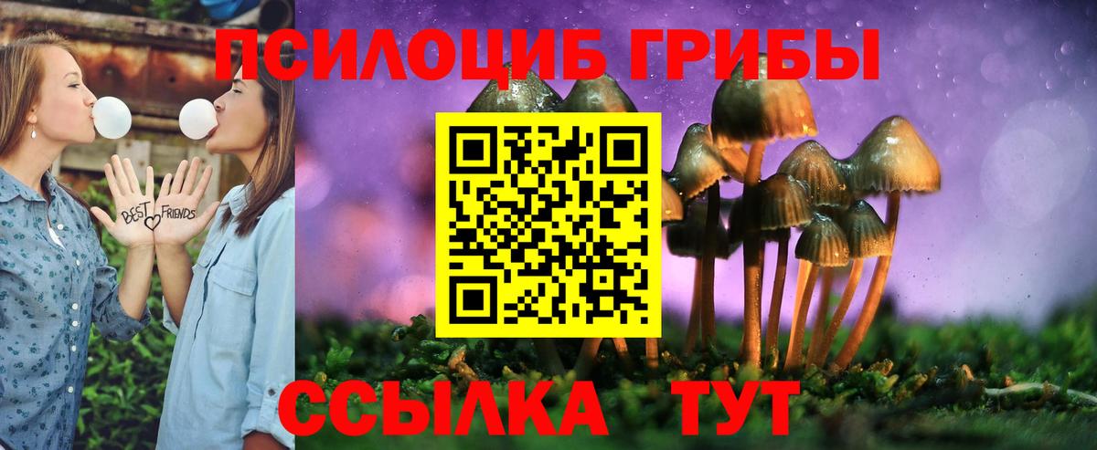 Георгиевск  Псилоцибиновые грибы Psilocybine cubensis  Вход с VPN  Галлюциногенные грибы ЛСД 