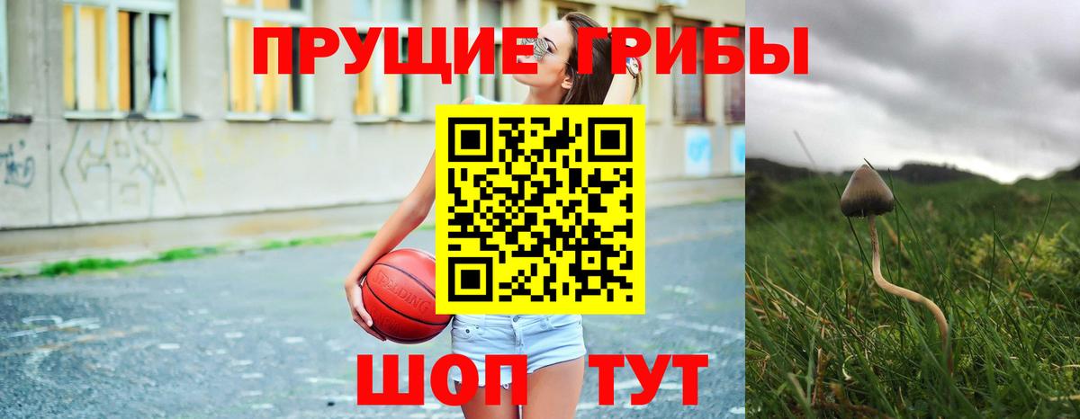 Галлюциногенные грибы мухоморы Георгиевск